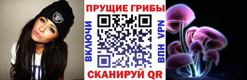 МЕГА рабочий сайт  Кашира  Псилоцибиновые грибы мицелий  что такое  